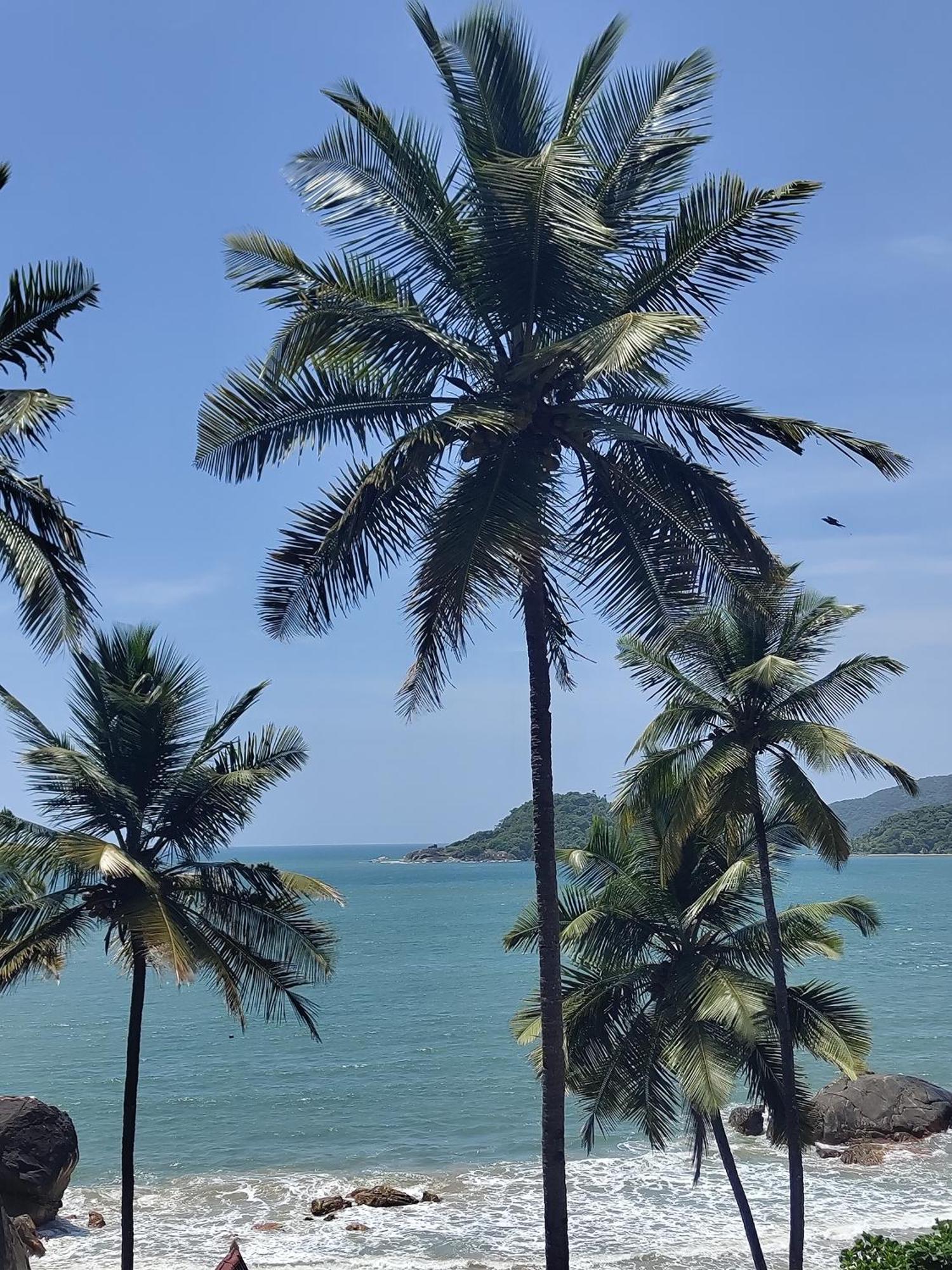 Hotel Hilltop Seaview Palolem Goa Extérieur photo