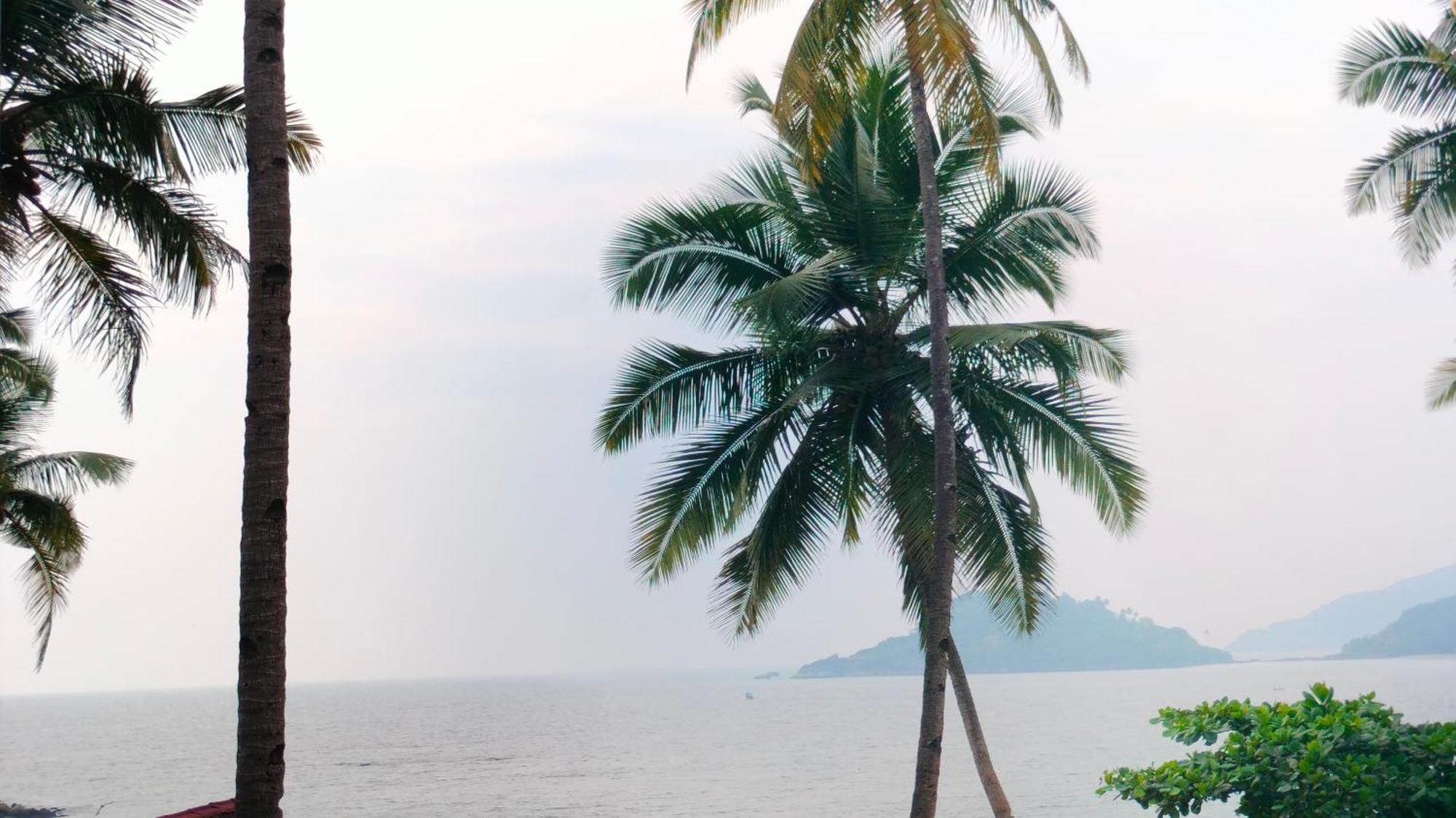Hotel Hilltop Seaview Palolem Goa Chambre photo